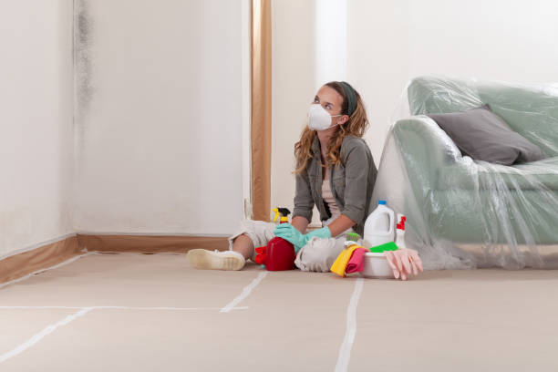 Reliable Mold Cleanup contractor in Millersville, PA by WQB Mold Removal